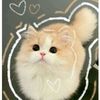 farzana_114