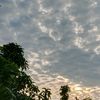 gimanasih_l