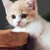 hienanh_888