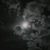 nermo_sthings