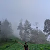 muhluq_