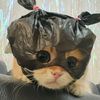 glsyyyyu