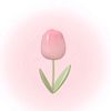 babylibra097