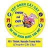 tapdoancatcay71