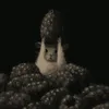 maryam_6567