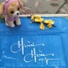 cuoc_song_moi_80