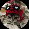 flautino6
