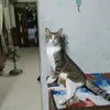 thuytram.nguyen76