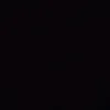 gui13ws