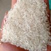 Djoeragan Rice