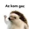 napsinagy306