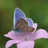 threeofus1113