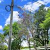 guerrero04092024
