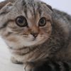 meooowwww_31