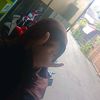santrikece006