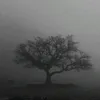 dripfdh