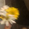 prettyj_zu.nm1ey