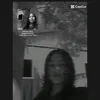 lari1.0_