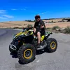 paulbuda486