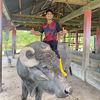 wahyu_lll