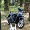 maer01531