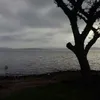 fernandogarcia4176
