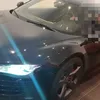 robertocavalli485