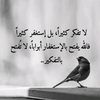 amira72347