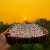 _rubel_123
