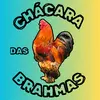 Chácara das Brahmas