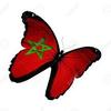 marocain443