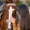 rojava_2014fa