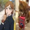 jujuu.kbmm