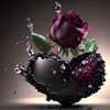 alis..31