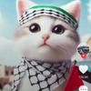 cat_palestine