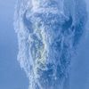 grizzcaller