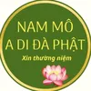 nhuhang080724al