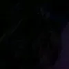 julianachaves458