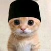 birul_walidai