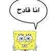 f._.h50.7