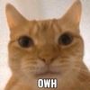mweheheh_19