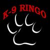 K9Ringo