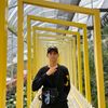 uwisy_w