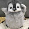 dailyxander_4