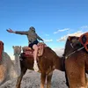 mvtteo6