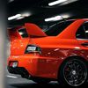 kucingorange1616