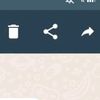 raffa77889