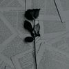 _rina_nur