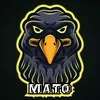 m4to_bmw