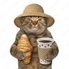 aiman_voo